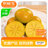 京鲜生 阳丰脆柿甜柿新鲜柿子 净重1.5斤 单果100g+ 中秋水果源头直发