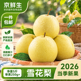 京鲜生河北卢龙雪花梨 净重5斤装 单果250g+ 新鲜水果源头直发