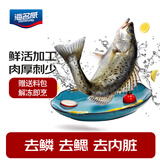 海名威 冷冻三去鲜蒸海鲈鱼450g/条(配料包)  海鱼 生鲜鱼类 海鲜水产