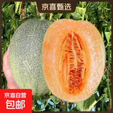 哈密瓜蜜瓜新鲜采摘沙漠甜瓜源头果园直发 3-5枚装净重（8-9斤）