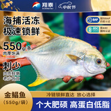 翔泰海南大规格金鲳鱼550g1条海鱼生鲜鱼类火锅 海鲜水产