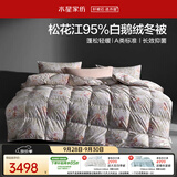 水星家纺羽绒被鹅绒被95%白鹅绒被子冬被冬季加厚被芯双人200×230约5.1斤