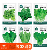 北蔬 蔬菜种子种苗大全生菜香菜菠菜秋冬阳台菜籽 6种叶菜类蔬菜种子