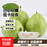 白心芭乐新鲜软糯番石榴低卡轻食可榨汁启鸿 白心芭乐 净重3斤 单果100g+