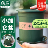 寿禾 加仑盆家用带托盘种植花卉多肉栽培花盆 0.5L加仑盆2个装