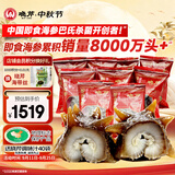 晓芹大连冷冻即食海参500g 7-9只*4袋 辽刺参 海鲜水产 中秋礼品