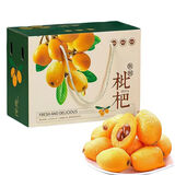 鲜享欢四川米易大五星枇杷大果高山枇杷当季新鲜水果现摘现发孕妇水果 新鲜大果2斤装【品质精选】