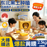 东北农嫂糯玉米穗 糯玉米段 软糯香 吉林原产 真空玉米 低脂粗粮 【26年头茬】黄糯玉米礼盒2.5kg 约8根
