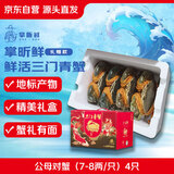 【活蟹】掌昕鲜三门青蟹 公母对蟹（7-8两/只）4只 生鲜活螃蟹海鲜水产送礼盒 源头直发