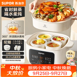 苏泊尔（SUPOR）电炖锅电炖盅隔水炖家用多功能煲汤炖汤盅陶瓷燕窝炖盅一盅五胆蒸炖一体 DZ25YC886