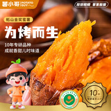 薯小哥【新】山东烟薯25号红薯糖心蜜甜薯烤薯地瓜番薯新鲜蔬菜精选好果 烟薯25号地瓜净重3斤（单果1-3两）