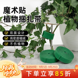 金雅特植物固定器捆扎带阳台盆栽防倒伏魔术粘贴扣带不伤花叶5m*3卷