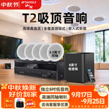 山水（SANSUI）T2 嵌入式吸顶音响音箱 5.1家庭影院音响套装  吊顶喇叭 音箱功放家用商用 家庭吸顶音响客厅环绕 T2【900W功放+5.5吋喇叭*5+8吋炮】