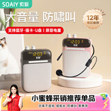 索爱（soaiy）S318小蜜蜂扩音器教师专用蓝牙音箱音响老师教学讲课喇叭腰挂麦克风导游便携式喊话礼物TF卡U盘 黑