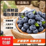 【精品】云南新鲜蓝莓当季脆甜孕妇宝宝辅食护眼水果现摘 15-18mm【1盒装100g/盒】