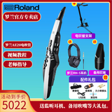 罗兰AE20电吹管AE-30旗舰款吹管电子萨克斯管乐AE10升级款 AE20+吹嘴+吹管支架+耳机礼包