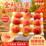 京地达山东蒙阴金秋红蜜 净重4.5斤礼盒单果200g起桃子新鲜水果源头直发