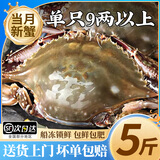 【冷冻】鲜喜利梭子蟹新鲜特大野生舟山大螃蟹海鲜蟹水产飞蟹白蟹 9两以上/只 【净重5斤 舟山直发 坏单包赔】