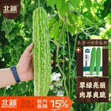 北蔬 苦瓜种子种苗早熟疙瘩绿苦瓜盆栽蔬菜种籽 良苦一号苦瓜种子30粒