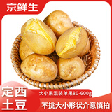 京鲜生 2026甘肃定西土豆 净重8斤 大小果混发 沙面黄心洋芋 源头直发