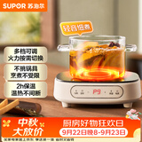 苏泊尔（SUPOR）电陶炉煮茶电磁炉家用电磁炉灶新型迷你小型简易大功率速热轻音火锅围炉煮茶炉C10-CS15