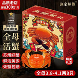 【活蟹】漁家师傅大闸蟹全母3.8-4.1两8只去绳足重鲜活螃蟹现货生鲜水产礼盒中秋送礼