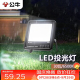 公牛（BULL）LED投光灯路灯庭院灯工地灯露营灯 IP65防水高亮度30W-6500K白光