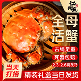 【活蟹】江问鱼 大闸蟹全母2.3两-2.6两 8只装 鲜活螃蟹生鲜礼盒送礼优选去绳足重