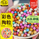 寿禾 彩色陶粒养花水培鱼缸花盆装饰 彩色大陶粒铺面石8-10mm1000g