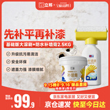 立邦墙面修复补墙膏补墙漆防水防霉抗菌堵洞腻子膏白色 500g+2.5kg