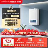 前锋（CHIFFO）燃气热水器【小海豚】2S瞬燃精准控温三档变升低压启动沐浴无忧变频调温多重安全保护JSQ23-XD450
