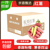 现挖沙地蜜薯红薯新鲜农家糖心番薯烤地瓜软糯批发黄心包邮 正宗陕西板栗红薯9斤含箱 彩箱