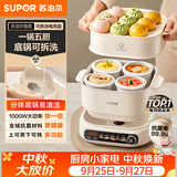 苏泊尔（SUPOR）电炖锅 煲汤锅电炖盅隔水炖辅食陶瓷燕窝家用全自动多功能锅蒸炖一体2.5L分体可拆新款DZ25YC889