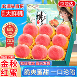 京地达水蜜桃子江苏金秋红蜜12枚新鲜水果礼盒重5.4斤单果200g+源头直发