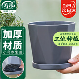 寿禾 花盆树脂带托盘简约室内绿植盆栽 木里盆小号-深灰