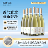 西鸽酒庄玉鸽国际版干白葡萄酒整箱750ml*6 贺兰山东麓宁夏红酒微醺喜宴