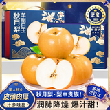 悠轶山东莱阳秋月梨子冰糖丰水雪梨脆甜现摘新鲜水果中秋送礼 5斤品质果【约7-12枚】净重4.5斤