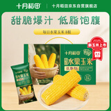 十月稻田 【新玉米·开袋即食】水果玉米 8根 共3.52斤 东北杂粮 中秋礼盒