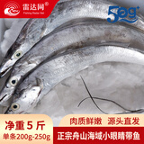 雷达网东海舟山带鱼整条 去冰净重4斤/5斤 带鱼礼盒 端午送礼 源头直发 段宽肉厚整条带鱼净重5斤 大号