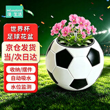漫生活花盆2026世界杯足球摆件塑料大花盆自吸水大号花瓶收纳多肉兰花盆