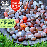 寿禾 雨花石鹅卵石鱼缸造景玛瑙盆栽铺面装饰 0.8-1.5cm灰红雨花石1kg