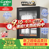 康宝（Canbo）【新国标】消毒柜家用小型消毒碗柜高温烘干立式台式餐具碗筷收纳柜厨房【政府补贴】XDR53-TVC1