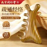 橙醉堂南京同仁堂按摩梳子头部经络按摩器檀木倍轻松头皮养生头疗头发