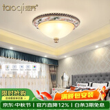 韬齐 欧式吸顶灯客厅现代简约主卧室灯美式阳台灯具 18849D-中号 直径40CM 不带灯泡