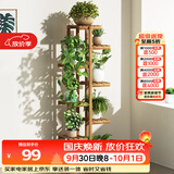 安尔雅 松木花架子花盆碳化室内外客厅阳台多肉植物简约置物架花摆架8层