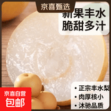 【今年新果】正宗新鲜丰水梨冰糖脆甜薄皮水果非秋月梨沐驰 丰水梨带箱9斤