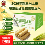 2026新货甜糯玉米黄糯玉米真空加热即食早餐代餐低脂轻食粗粮 有机燕窝雪糯玉米8根*280g净重 彩箱