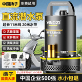 扬子直流潜水泵农用家用浇菜抽水泵电瓶车高扬程井水小型大流量水泵 48/60V-1寸11米线【黑金高性能】
