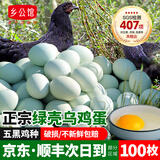 乡公馆土鸡蛋生鲜鸡蛋30枚个正宗农家散养乌鸡蛋有机鸡蛋新鲜柴草笨鸡蛋 乌鸡蛋100枚整箱4.5kg