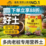 史丹利多肉老桩型专用营养土2.5kg 颗粒土泥炭土肉肉植物种植叶插土壤